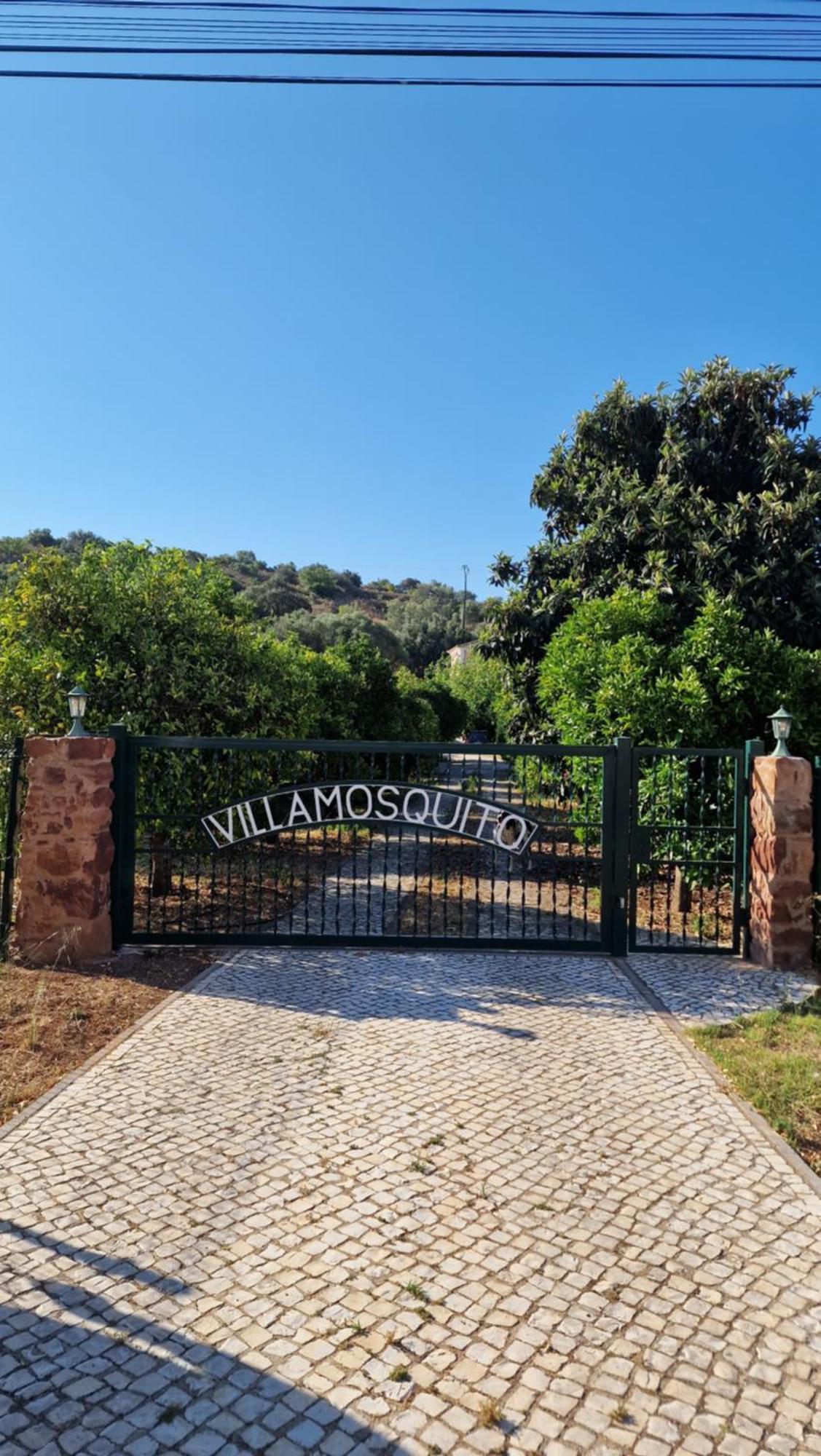 Chalet Villa Mosquito Silves Exterior foto