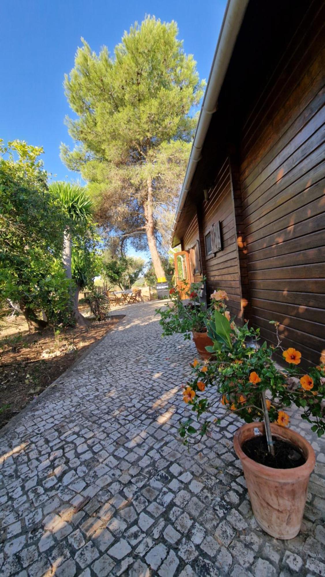 Chalet Villa Mosquito Silves Exterior foto