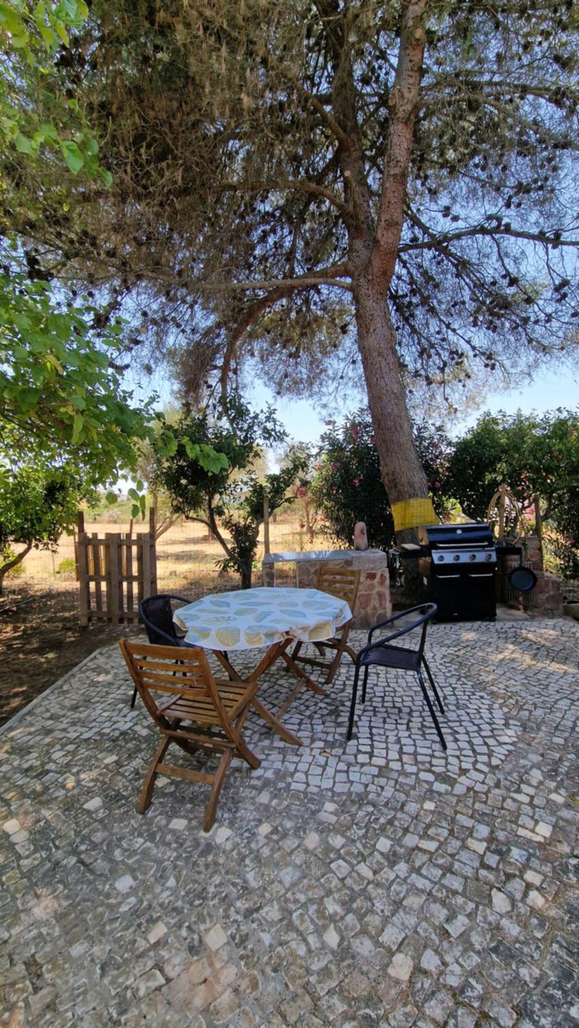 Chalet Villa Mosquito Silves Exterior foto