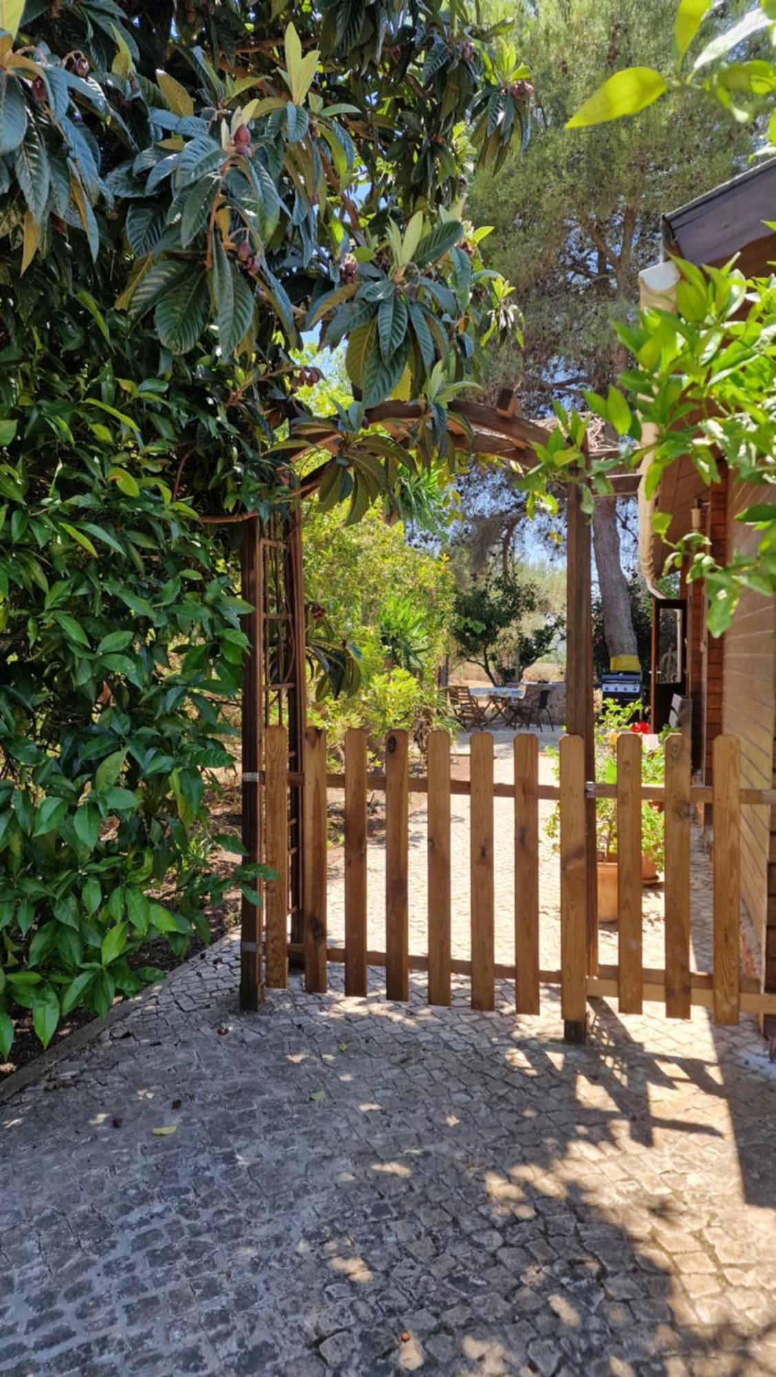 Chalet Villa Mosquito Silves Exterior foto