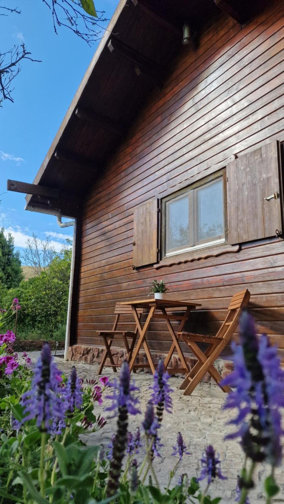 Chalet Villa Mosquito Silves Exterior foto